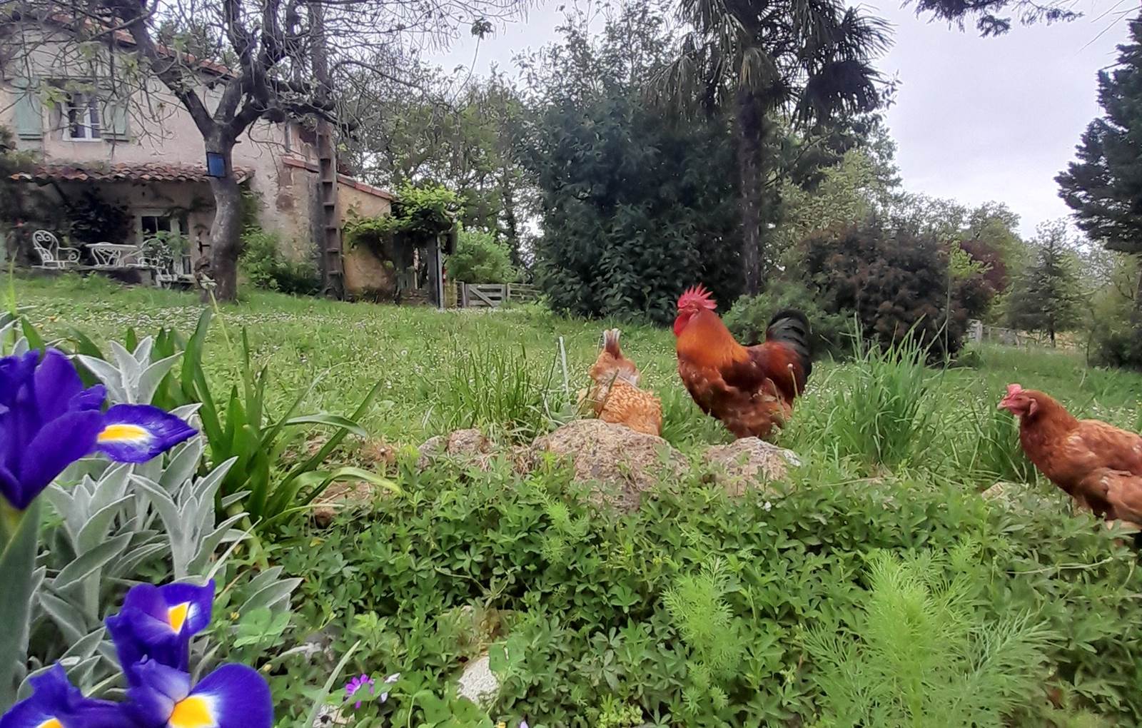 Domaine_de_Calabel©_Pouylebon_vacances_piscine_gers-carousel