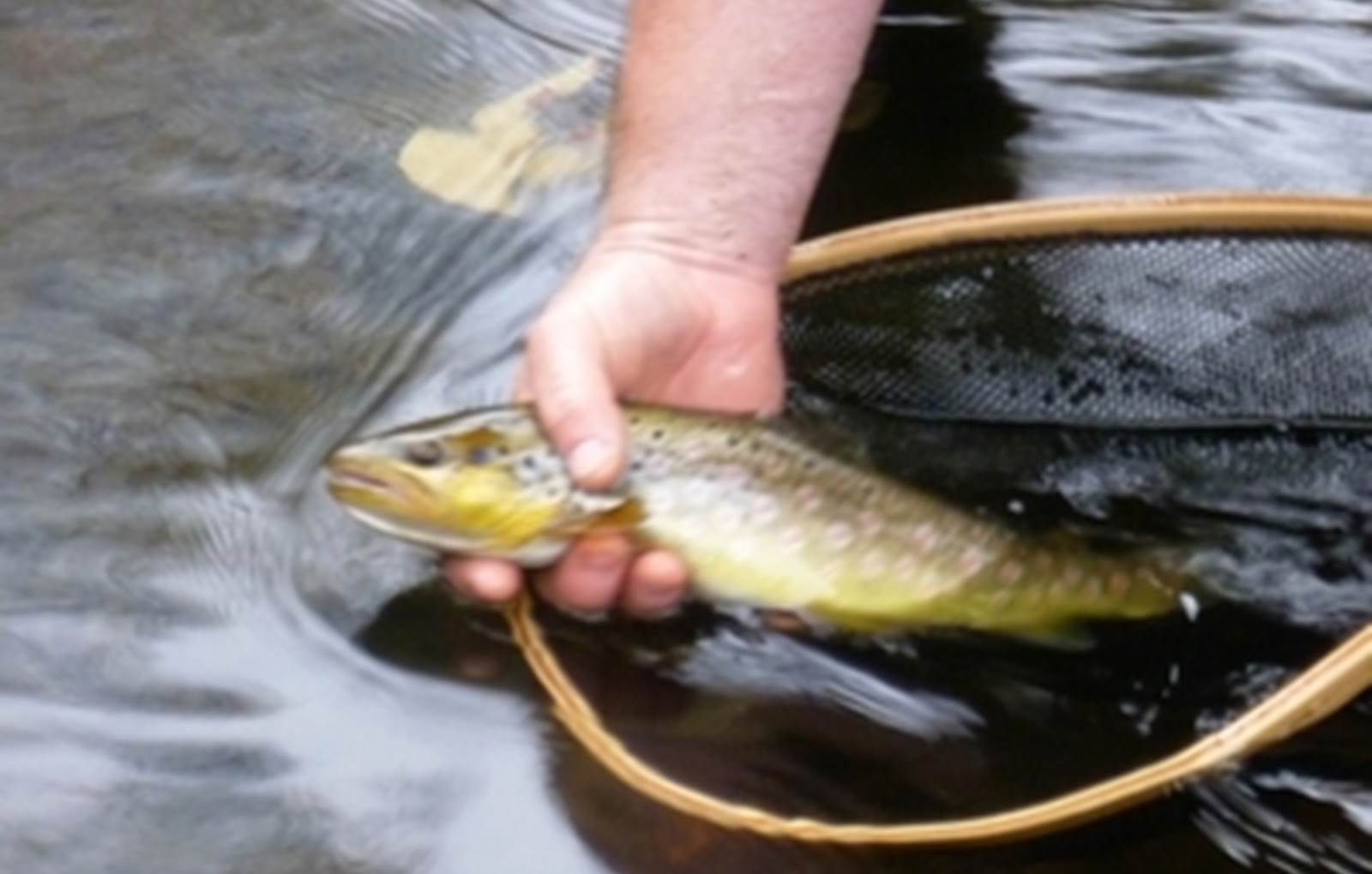 Activité Pêche en Limousin-carousel