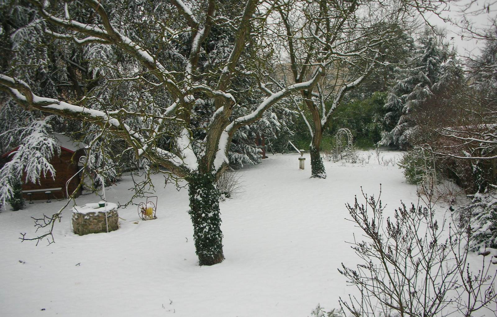 JARDIN SOUS LA NEIGE-carousel
