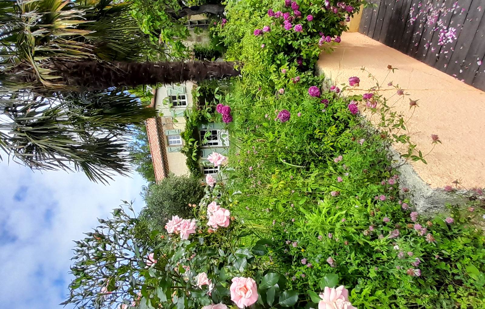 Domaine_de_Calabel©_Pouylebon_vacances_piscine_gers-carousel