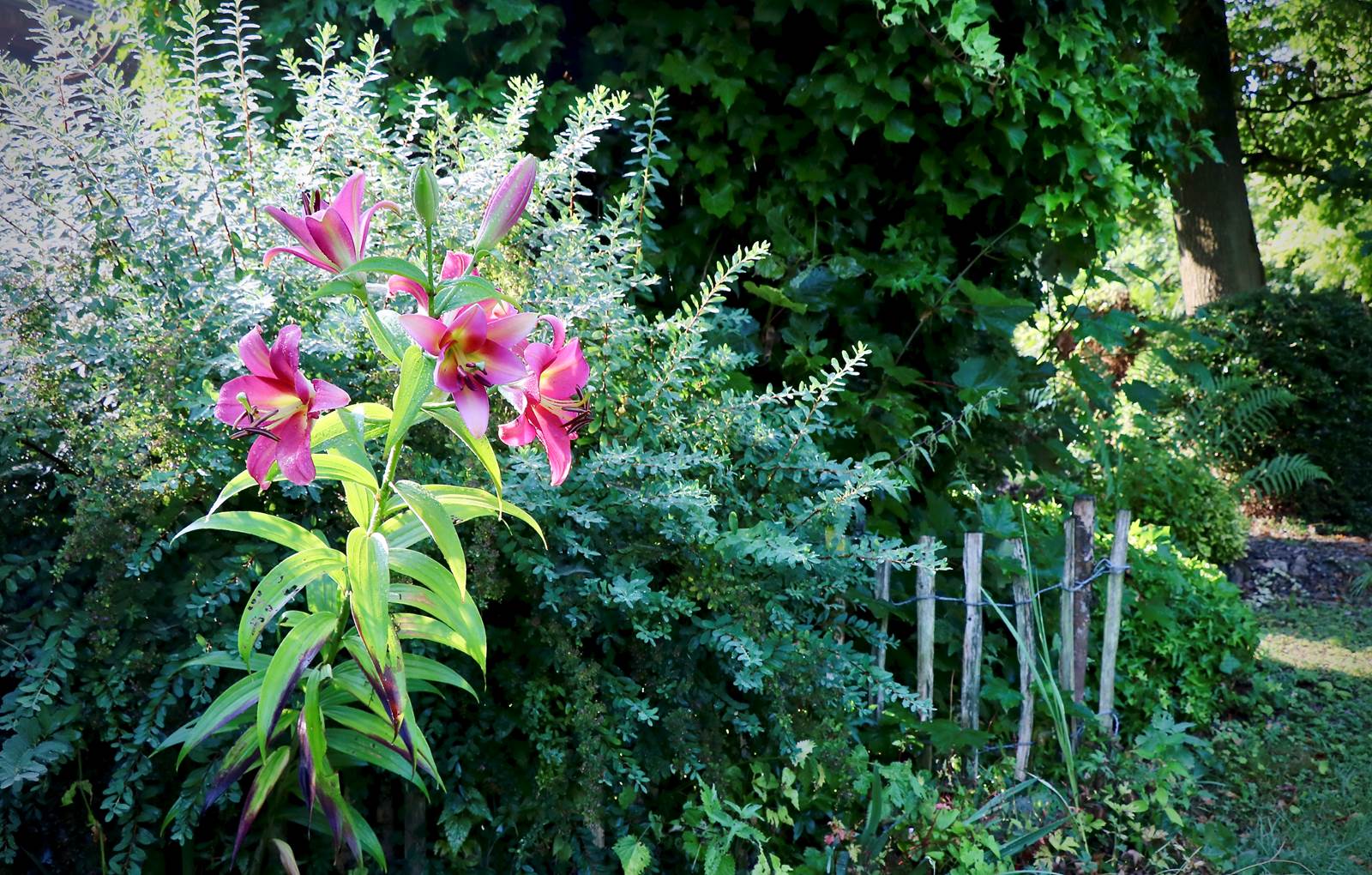 In the garden-carousel