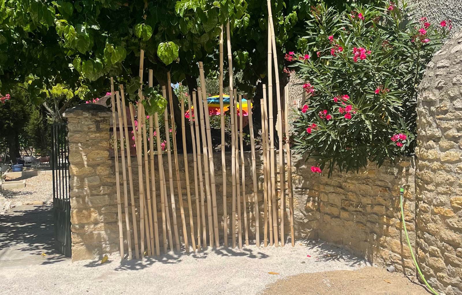 17D8DDB7-6184-49DA-A3B2-2EF048C2DB2B-carousel