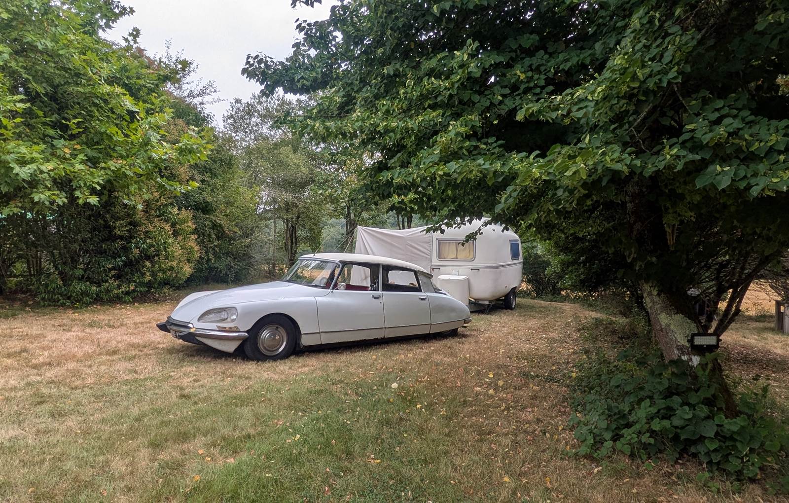 PXL_20250726_094238372-carousel