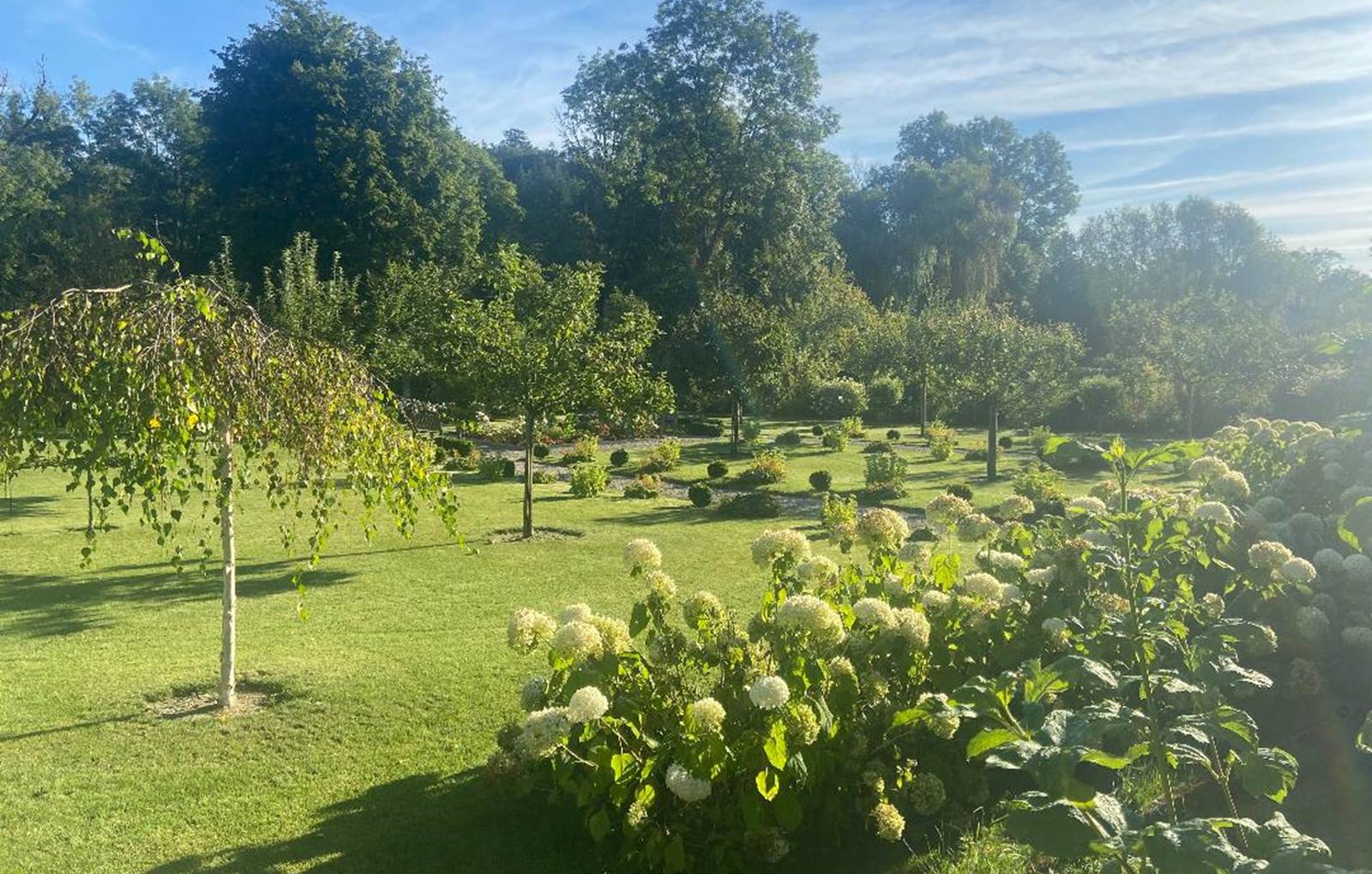 photo 7 favoris-carousel