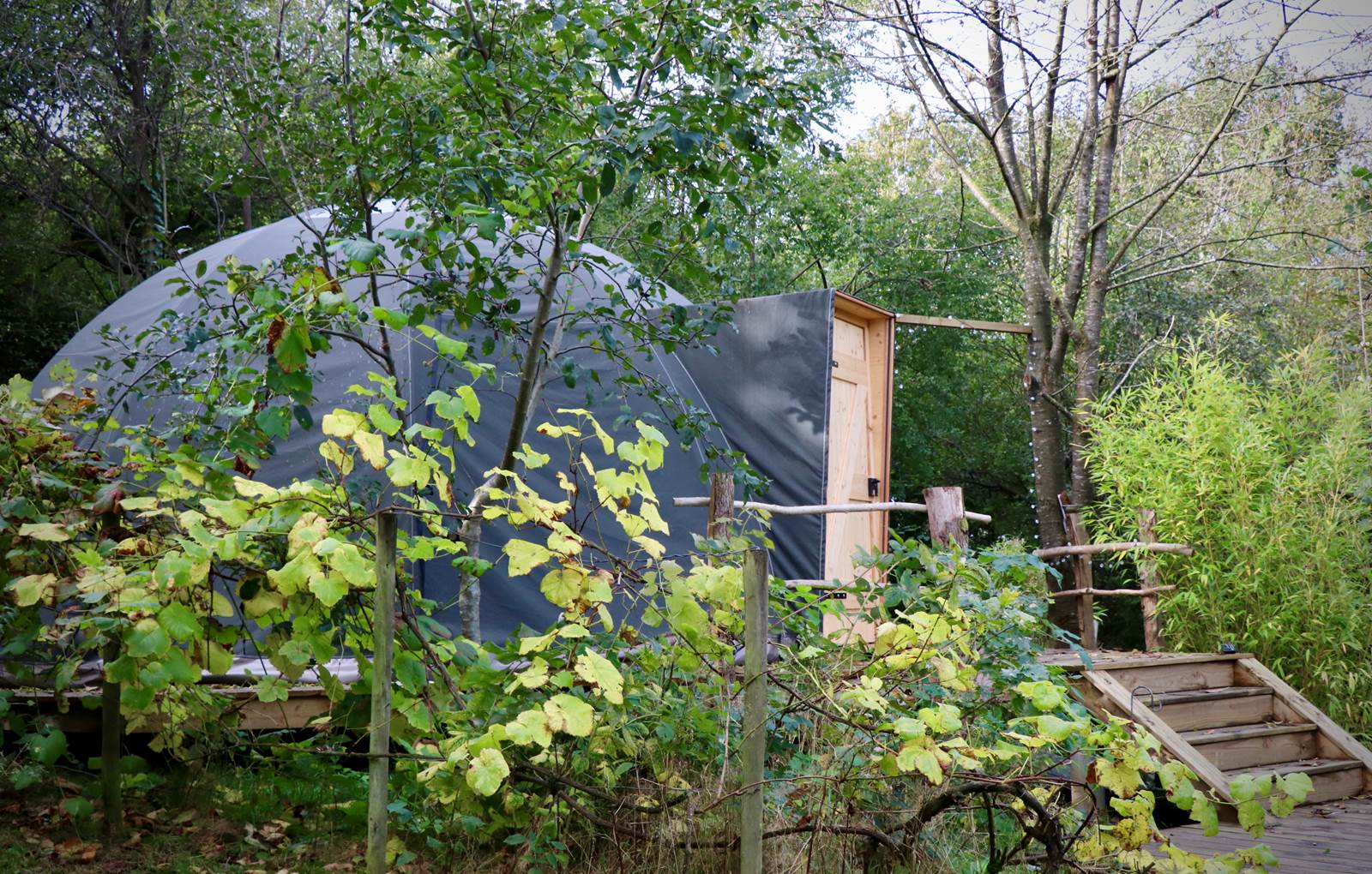 fullsizeoutput_292a-carousel