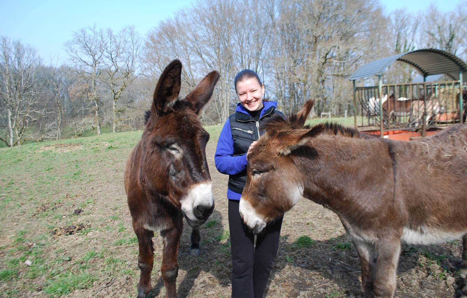 Maison du Masjoubert, étape séjour randonnée avec un âne APPAAT Millevaches-carousel