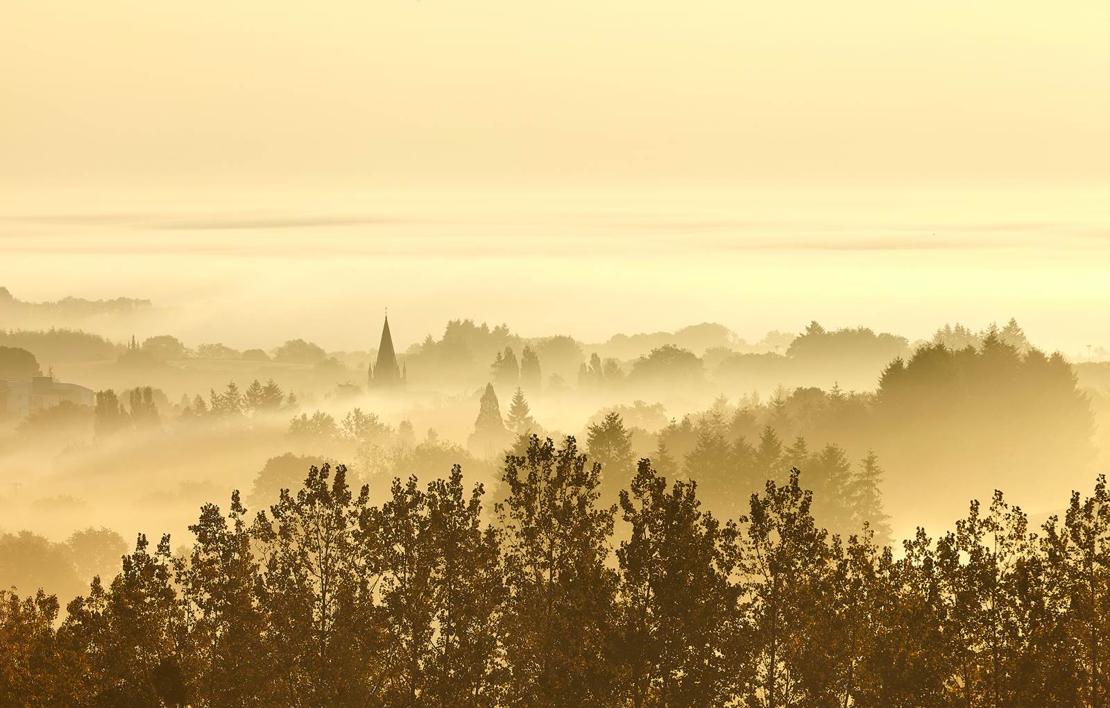 bocage vendéen-carousel