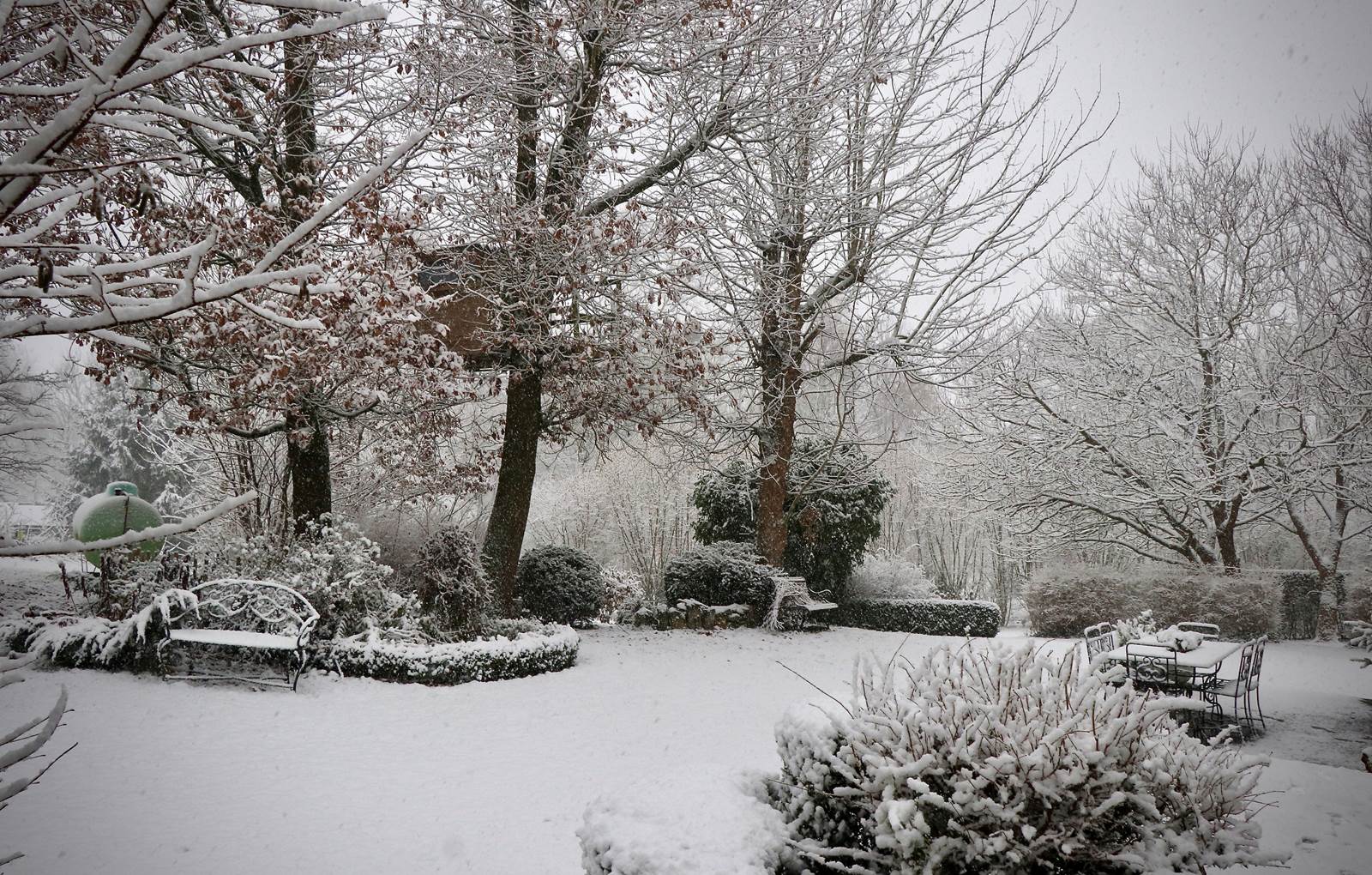 fullsizeoutput_1e7d-carousel