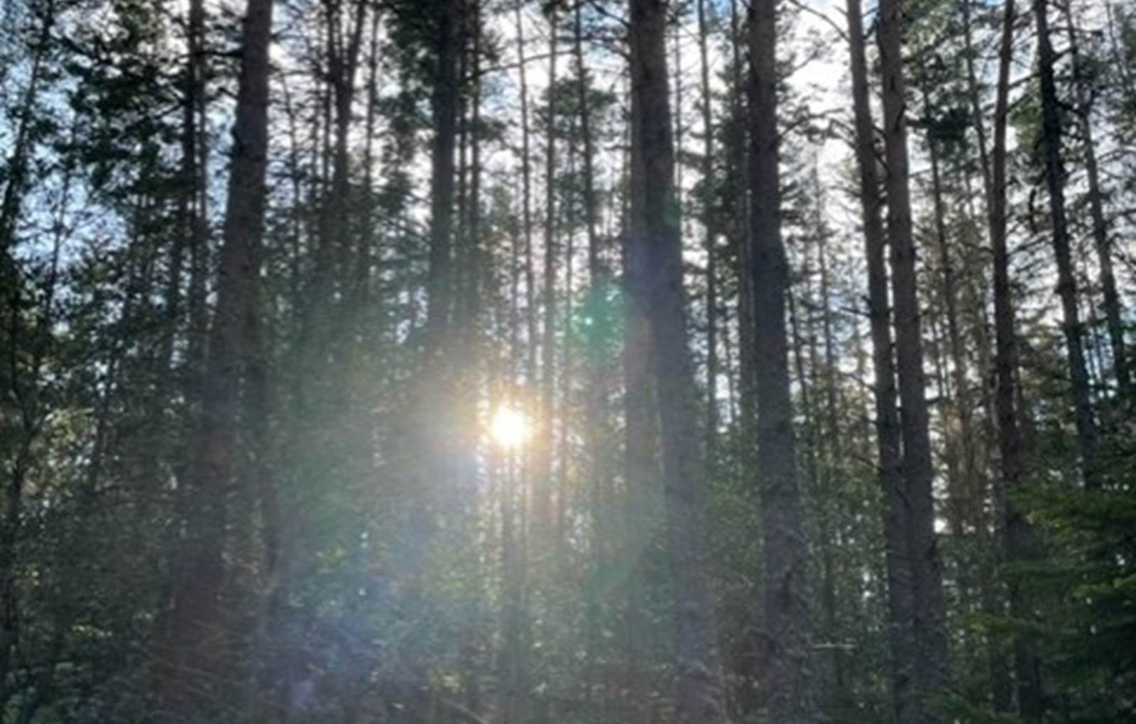 thumbnail_IMG_9473-carousel