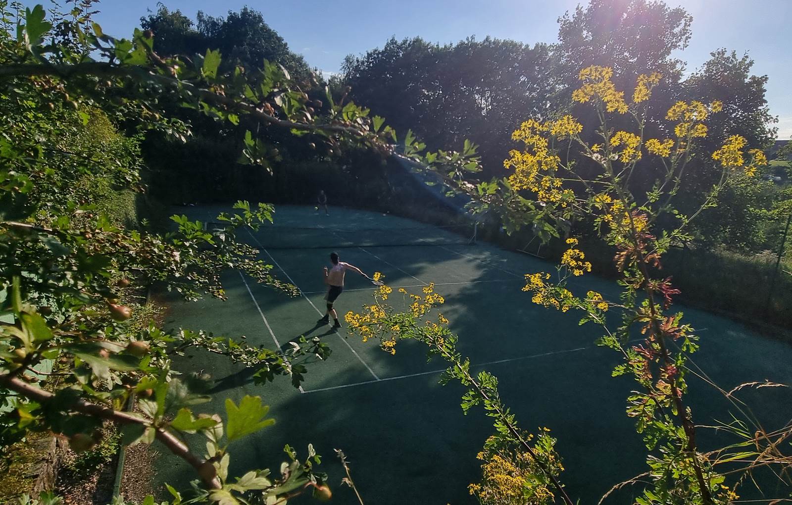 20240729_185604-carousel