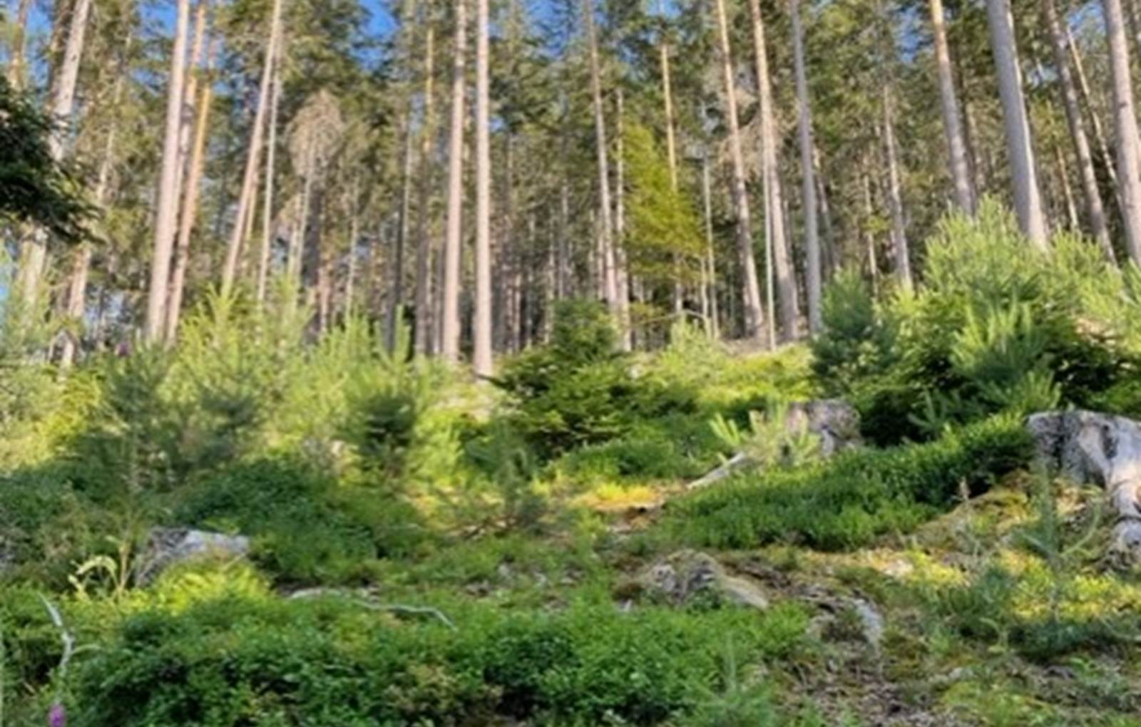 thumbnail_IMG_9248-carousel