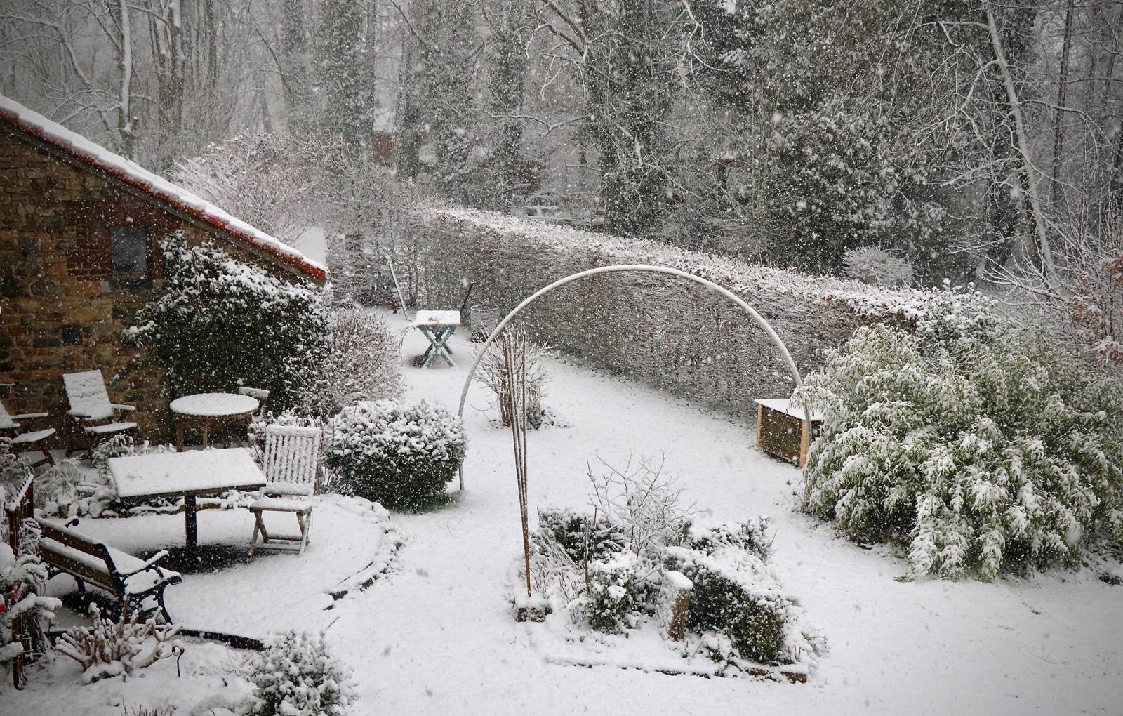 fullsizeoutput_1e7e-carousel