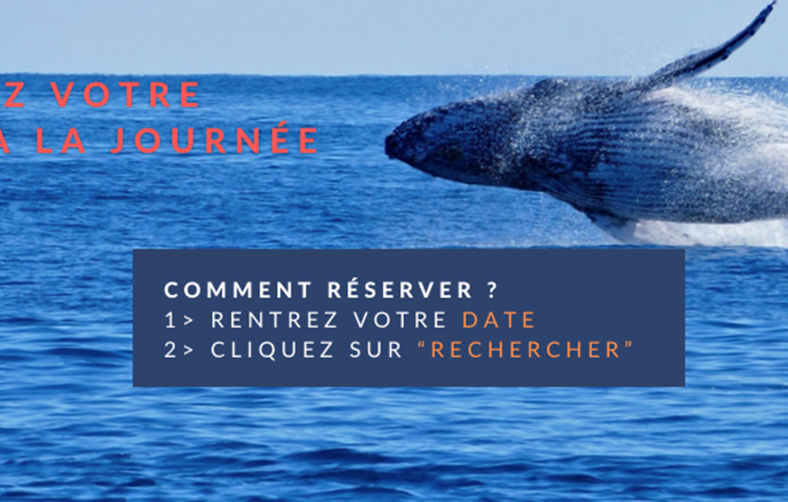 Capture d’e´cran 2025-06-02 a` 11.46.36-carousel