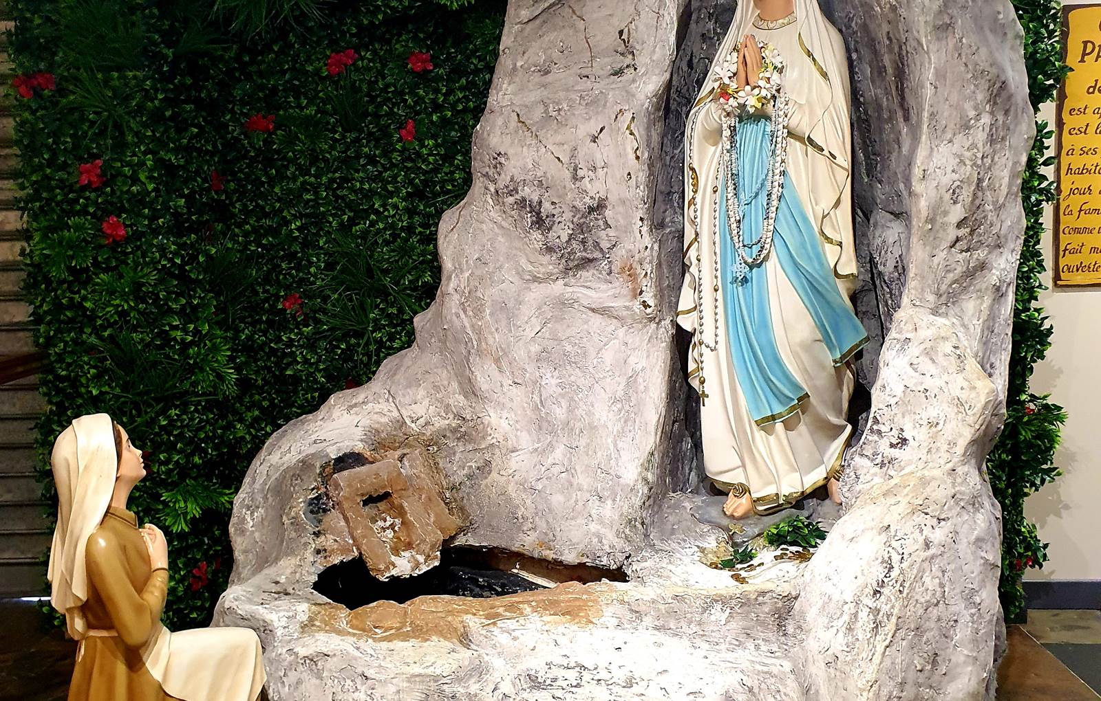 20230309_125606-carousel