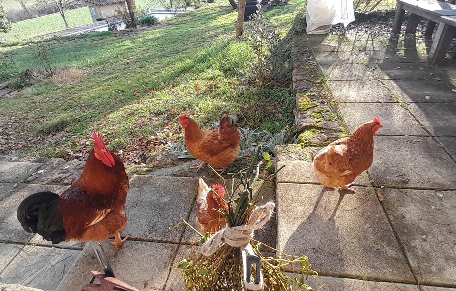 Domaine_de_Calabel©_Pouylebon_vacances_piscine_gers-carousel