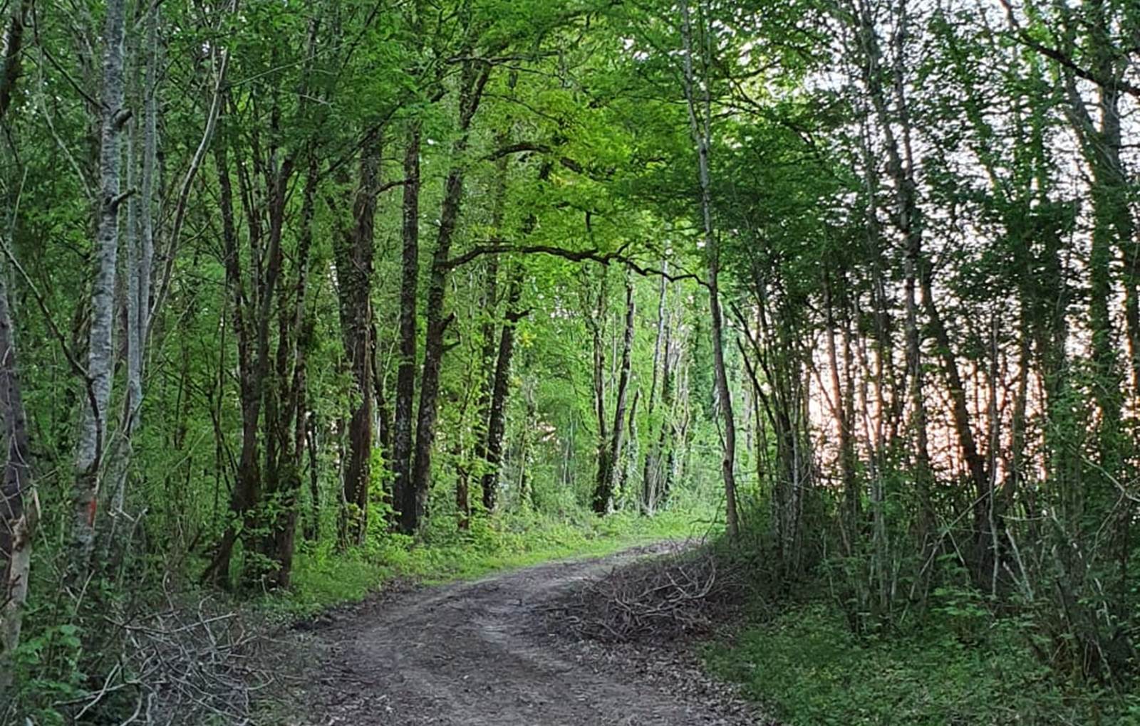 Activités familiales en plein air-carousel