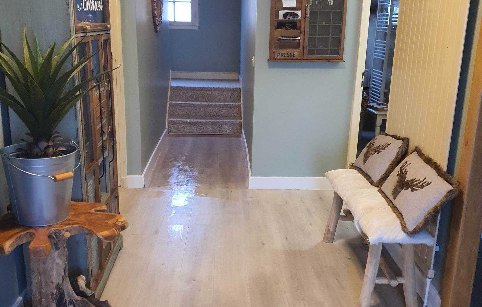 20250211_111024-carousel