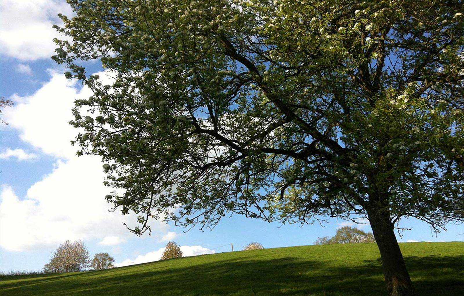 dormir à la ferme dans le cadre authentique de la ferme La Gautraie-carousel