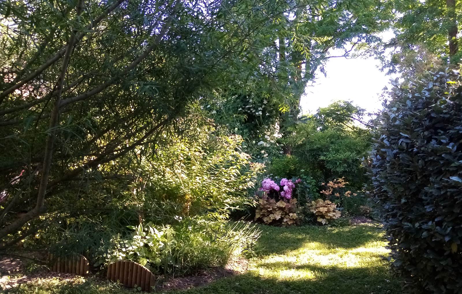 Un petit coin de paradis_Jardin-carousel