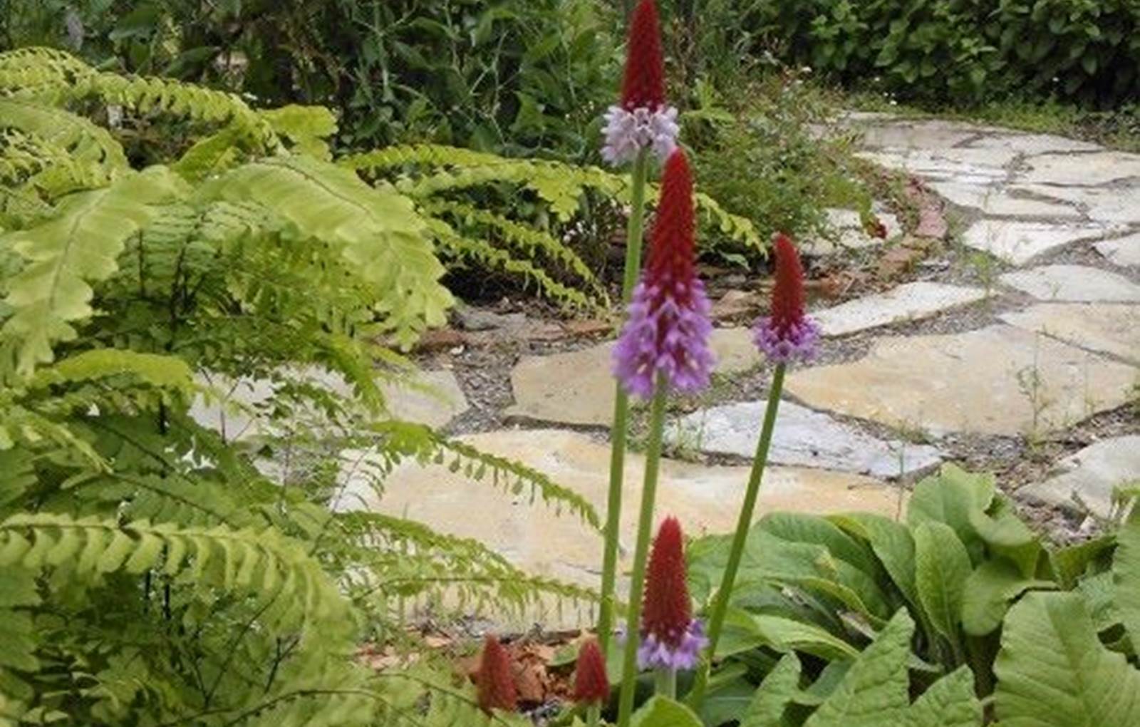 Le jardin Hildegarde de L'Ile de Garde B&B-carousel