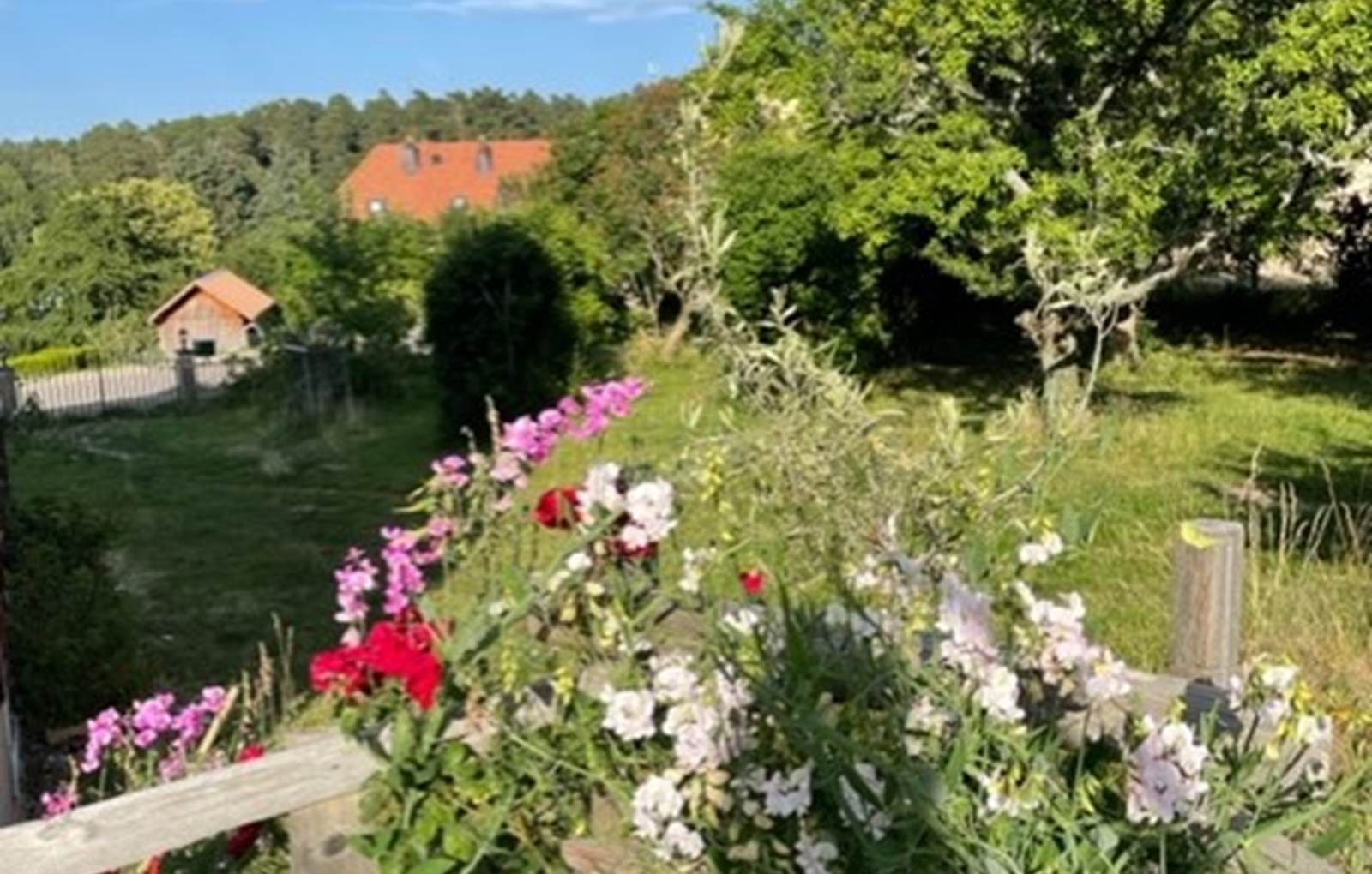 thumbnail_IMG_9272-carousel