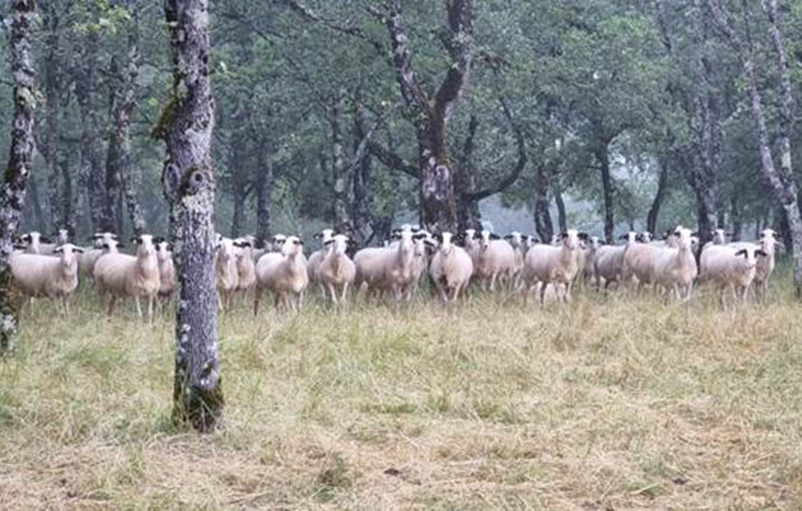 LOCATAIRES PROVISOIRES-carousel