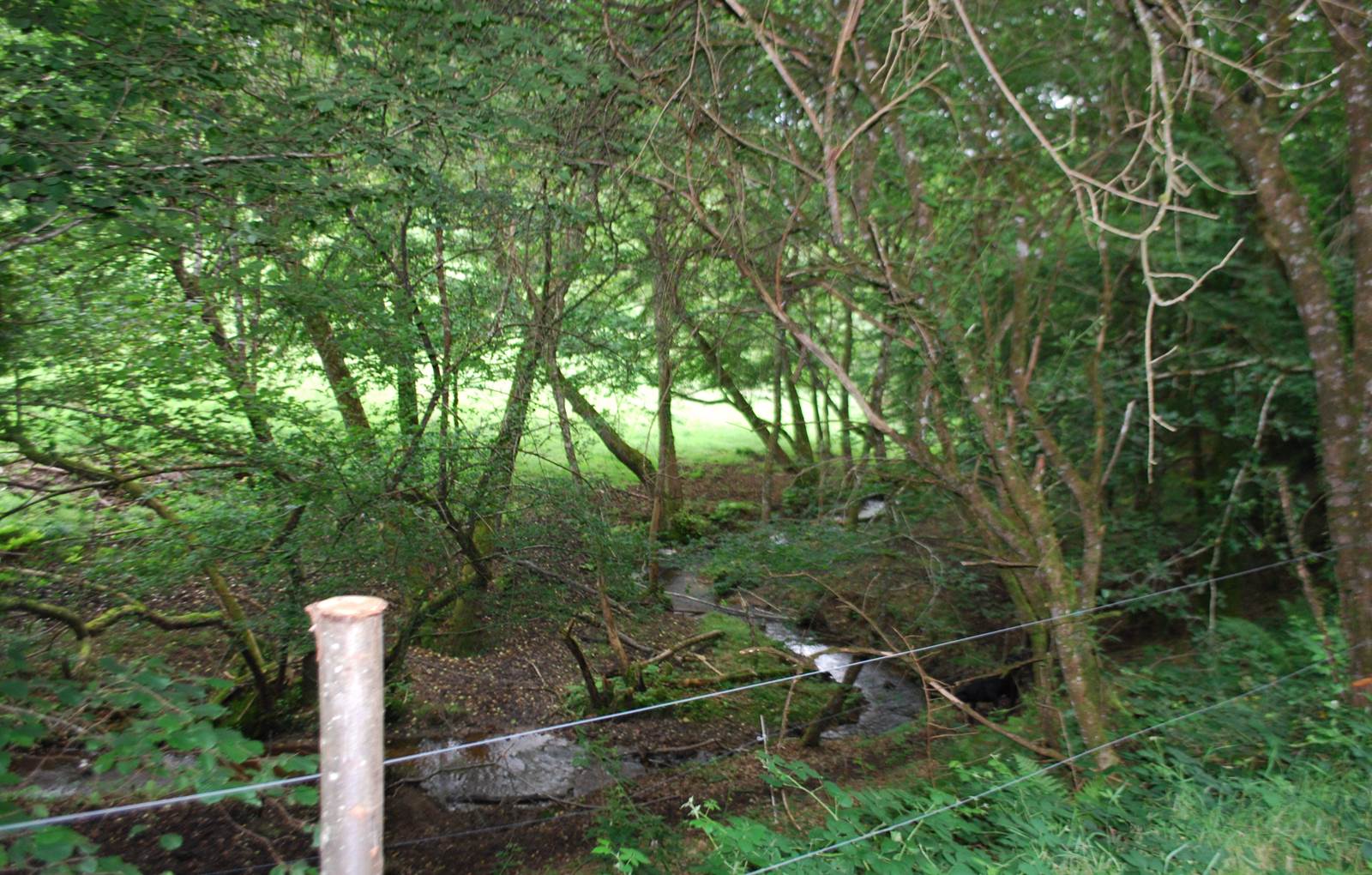 ruisseau les Fantaisies serpente dans la Nature à Augne 87120-carousel