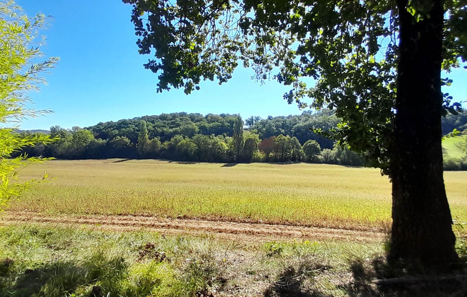 Domaine_de_Calabel©_Pouylebon_vacances_piscine_gers-carousel