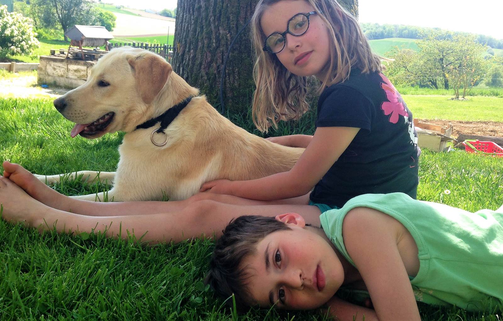 Prune, Léon et César-carousel