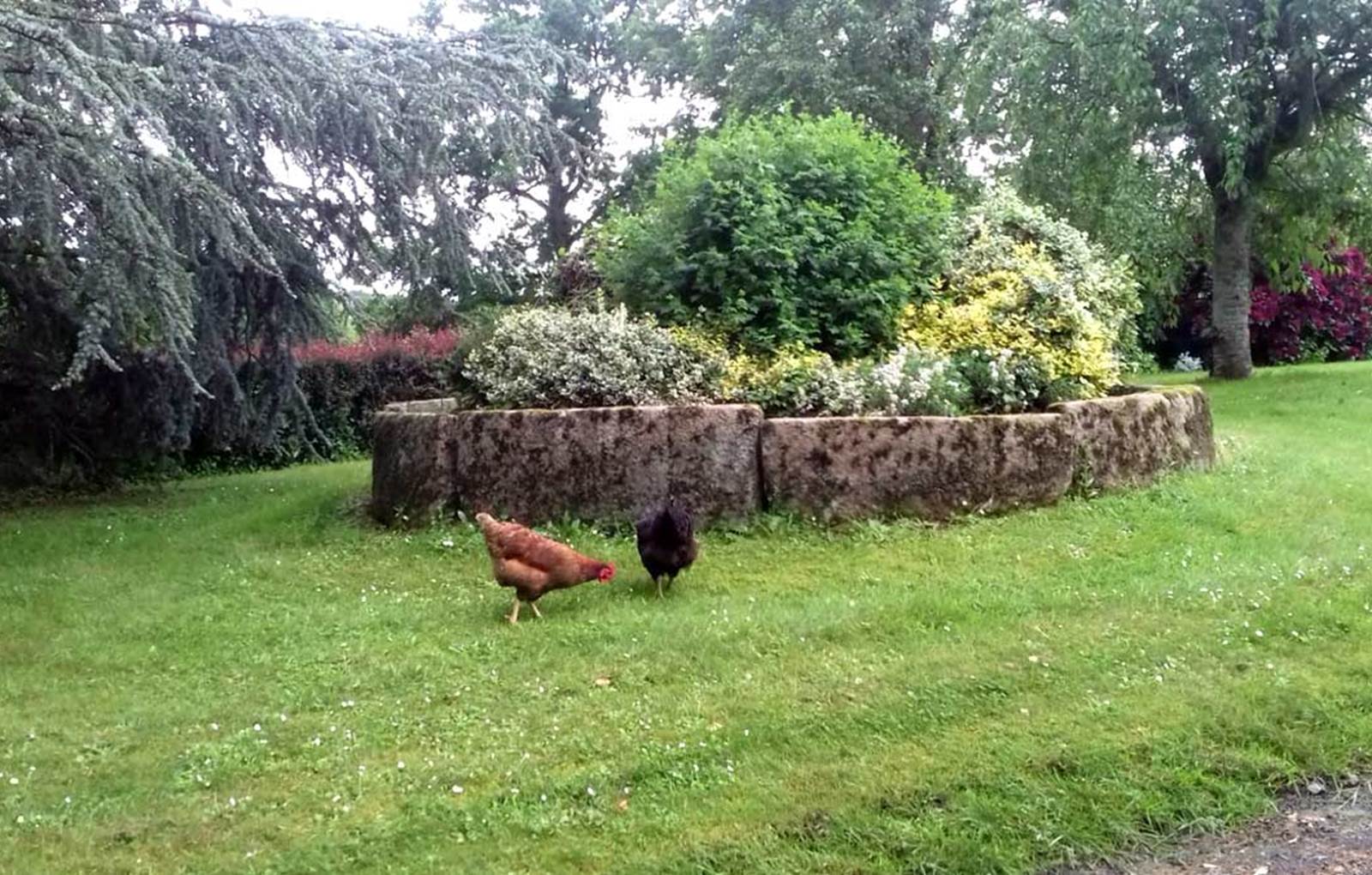 la Gautraie chambre d hotes proche de Fougeres et des jardins de la Ballue-carousel