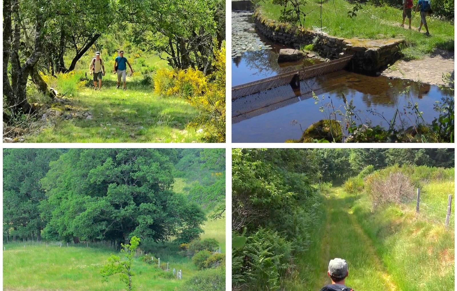Plateau des Millevaches randonnées-carousel