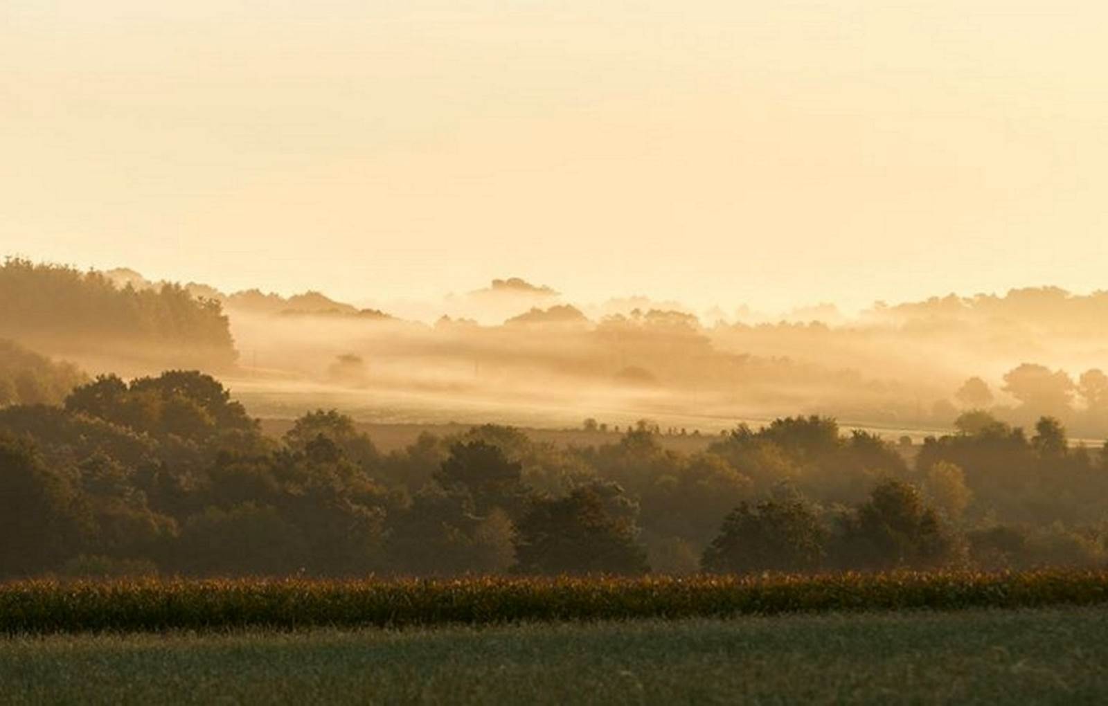 Les landes de Lanvaux-carousel