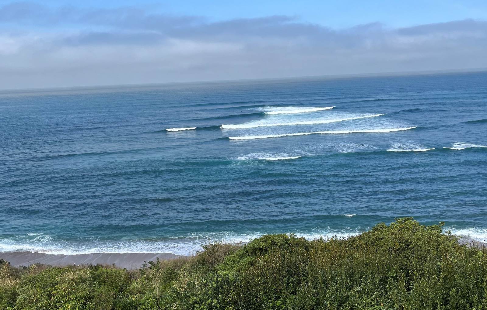 une partie du jardin-carousel
