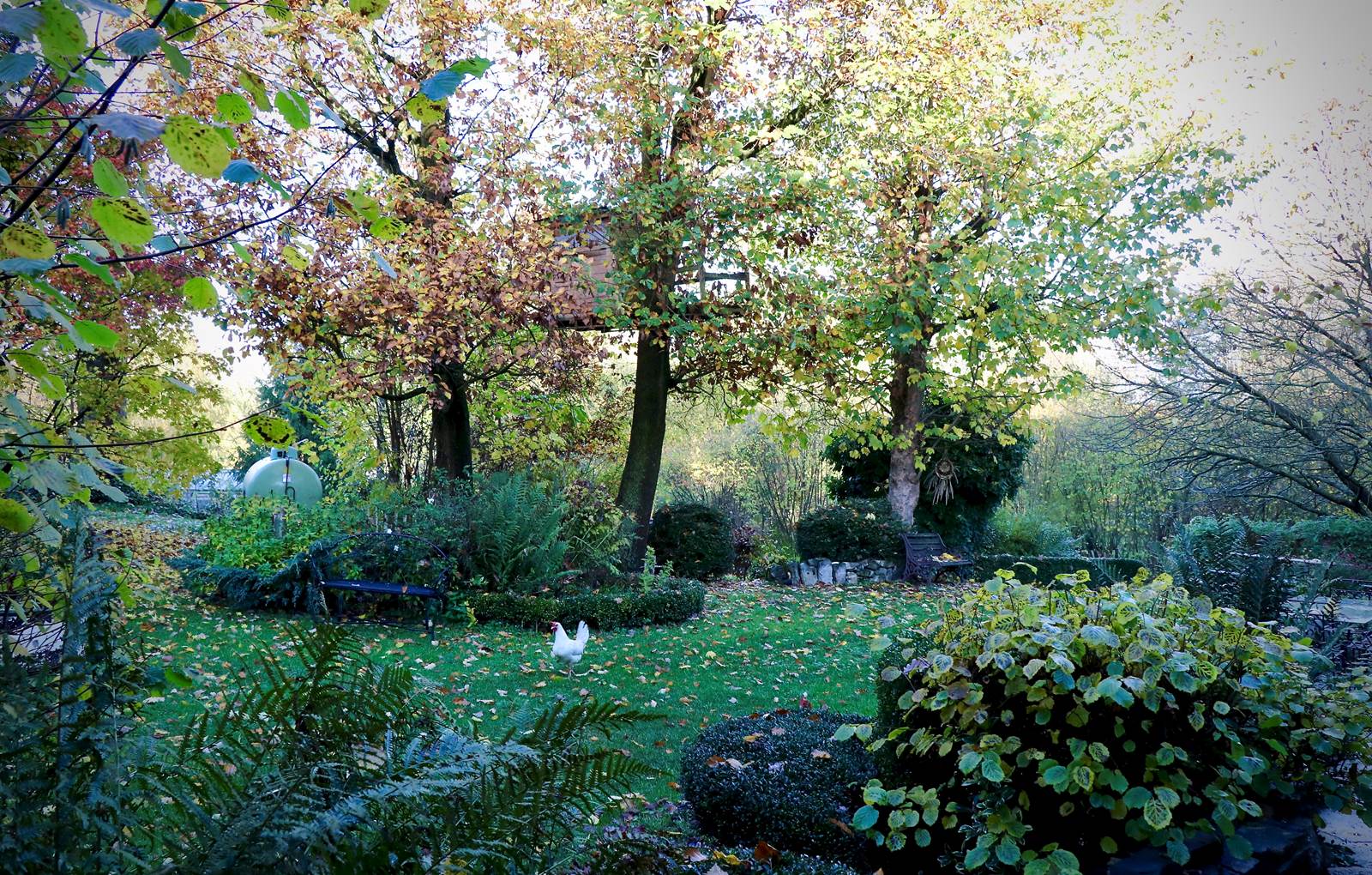 fullsizeoutput_1b7a-carousel