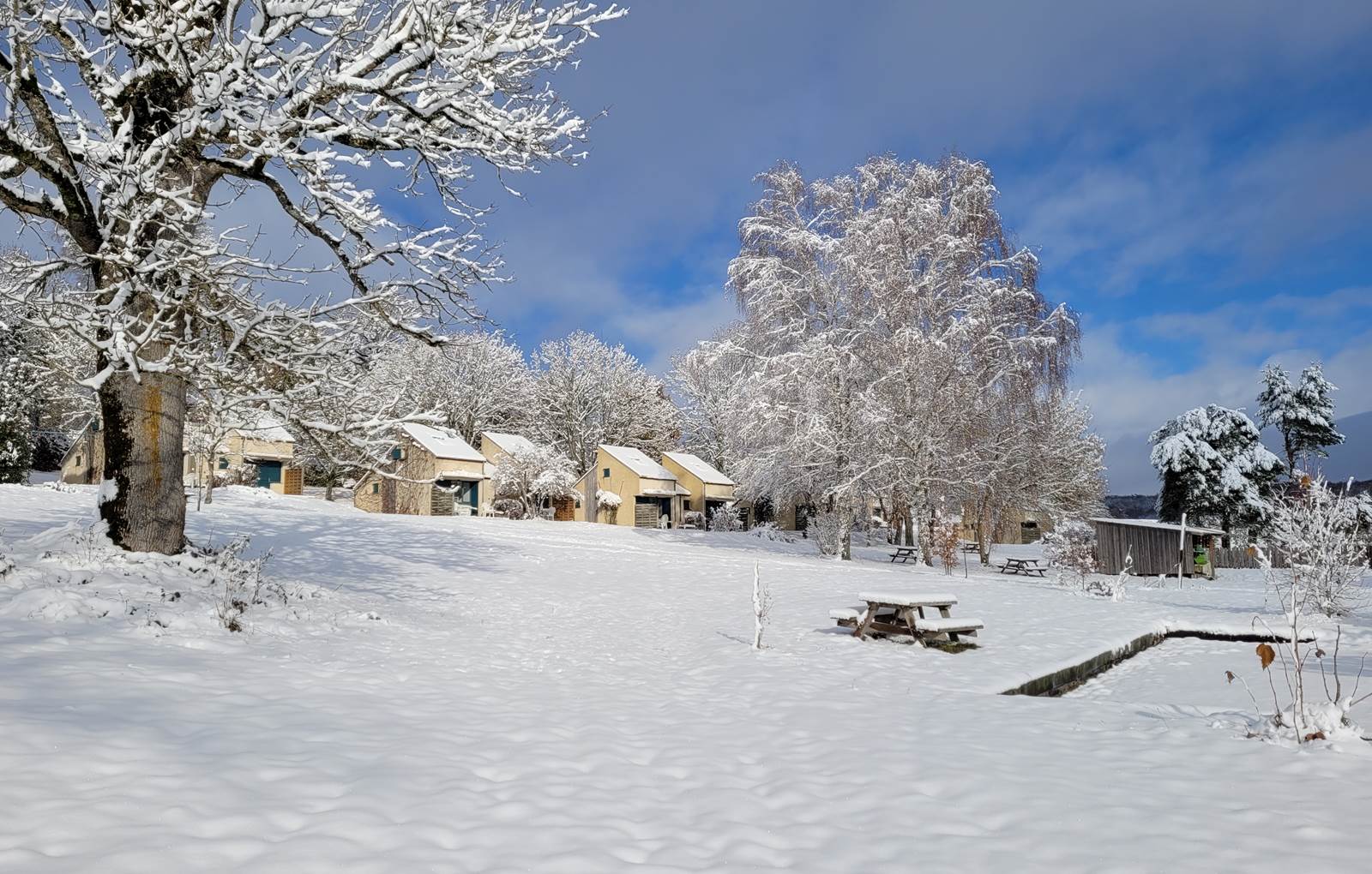 Avec la neige-carousel
