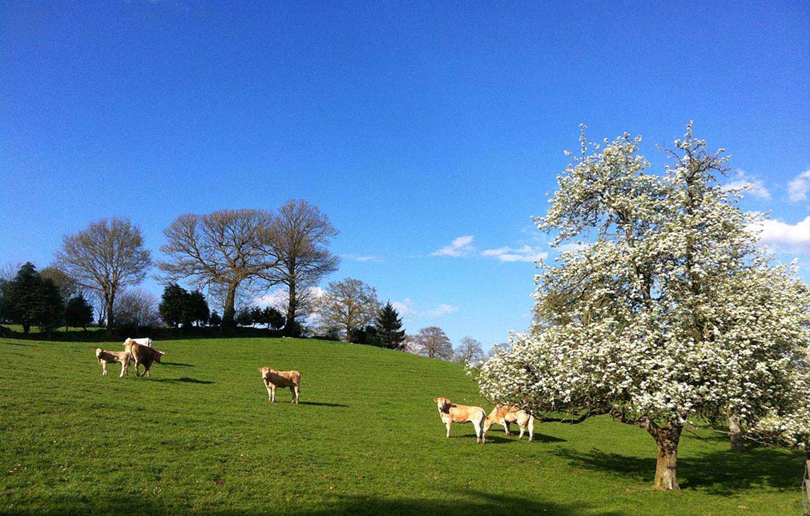 ferme la Gautraie, etape champetre vers le mont Saint-Michel-carousel
