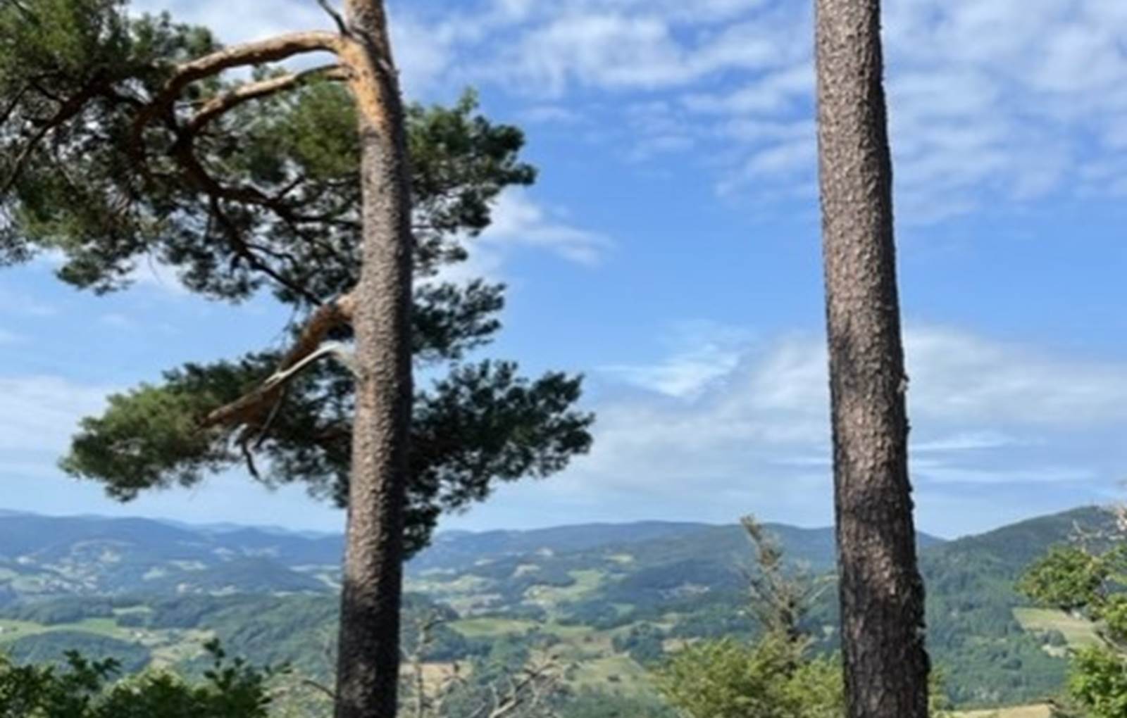 thumbnail_IMG_9480-carousel