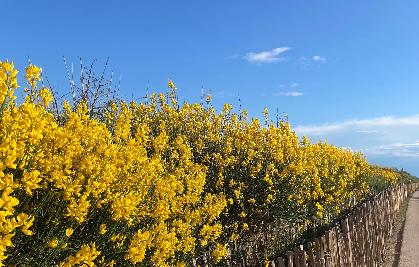 le long de la plage Sète-carousel