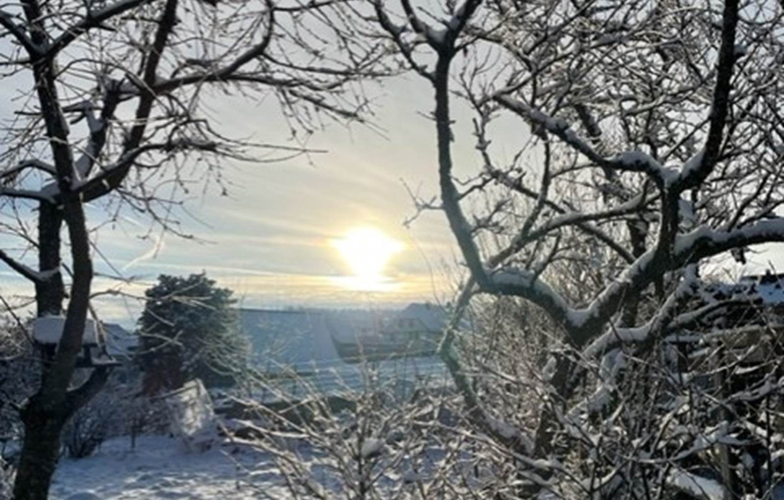 thumbnail_IMG_7204-carousel