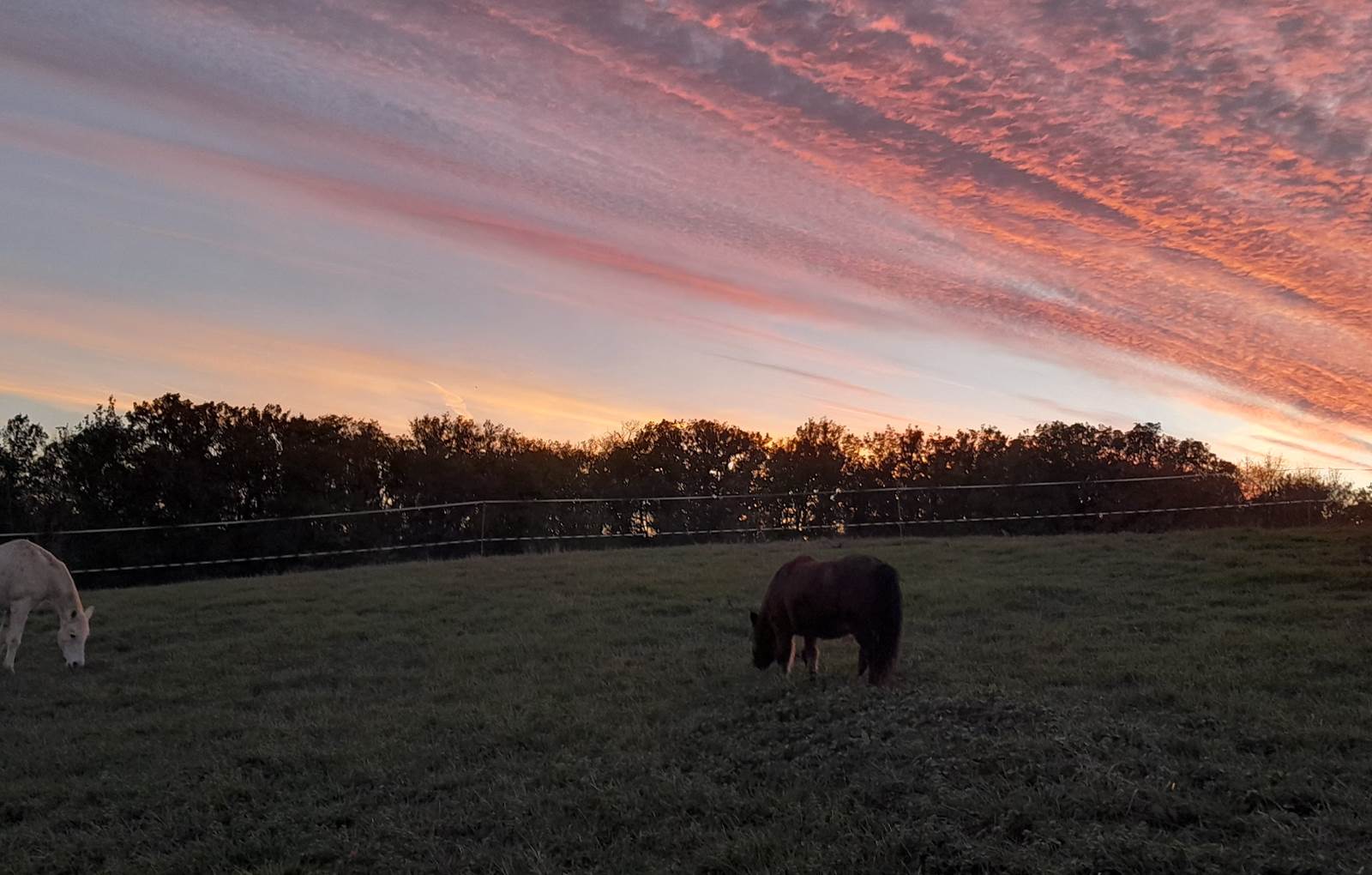 Domaine_de_Calabel©_Pouylebon_vacances_piscine_gers-carousel