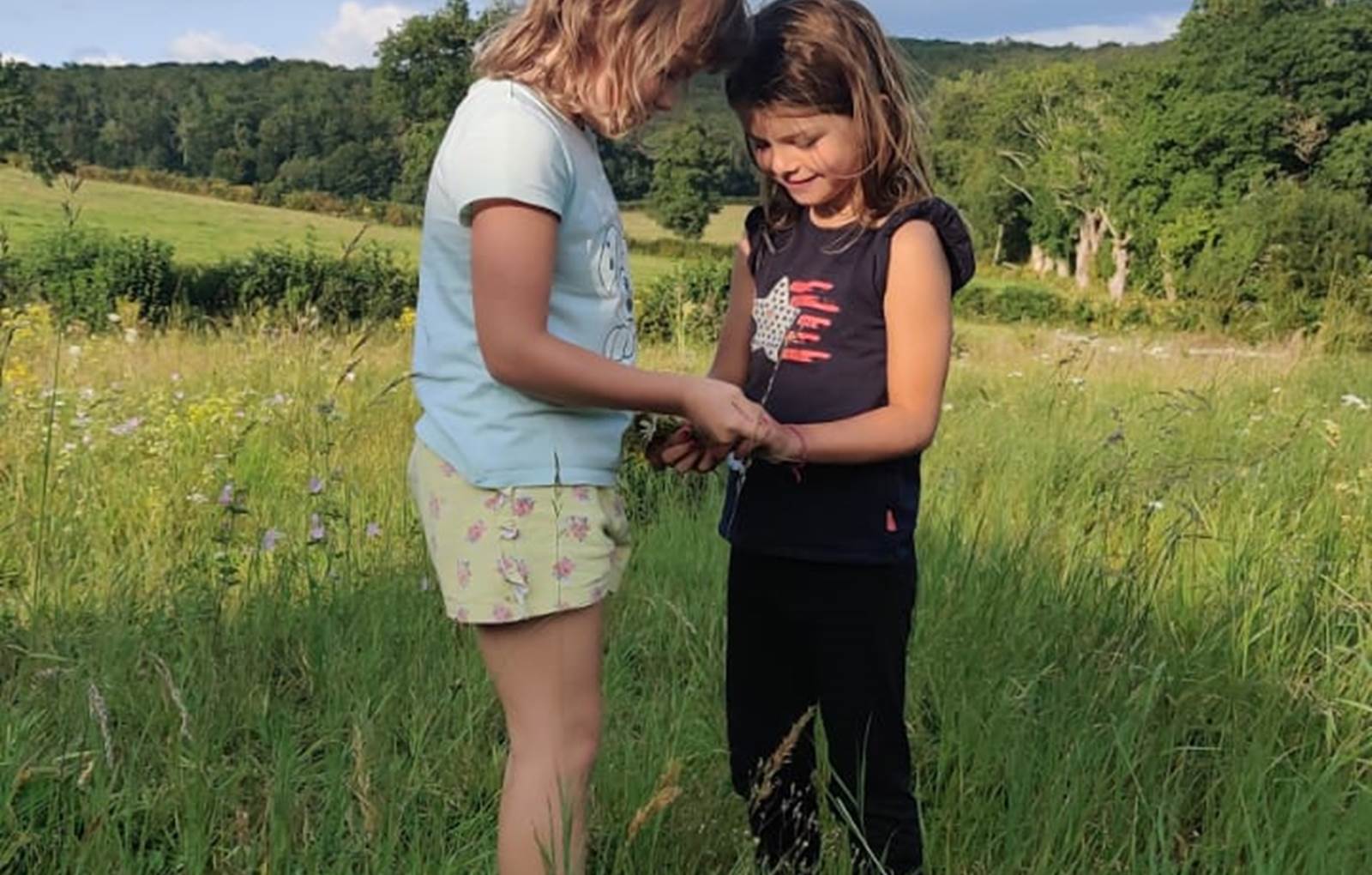 Découverte de la Nature-carousel