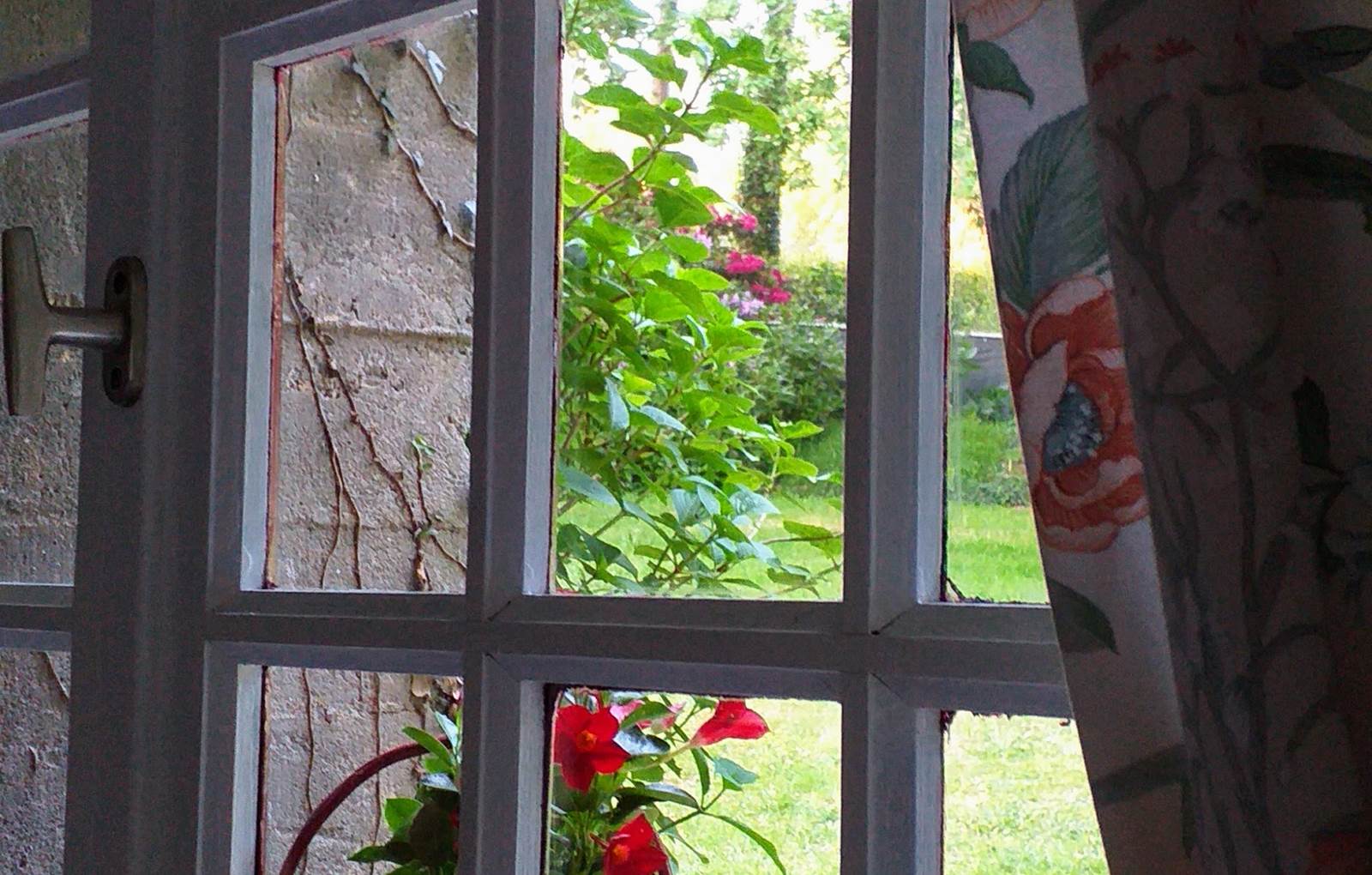 Petite vue du gîte sur le parc-carousel