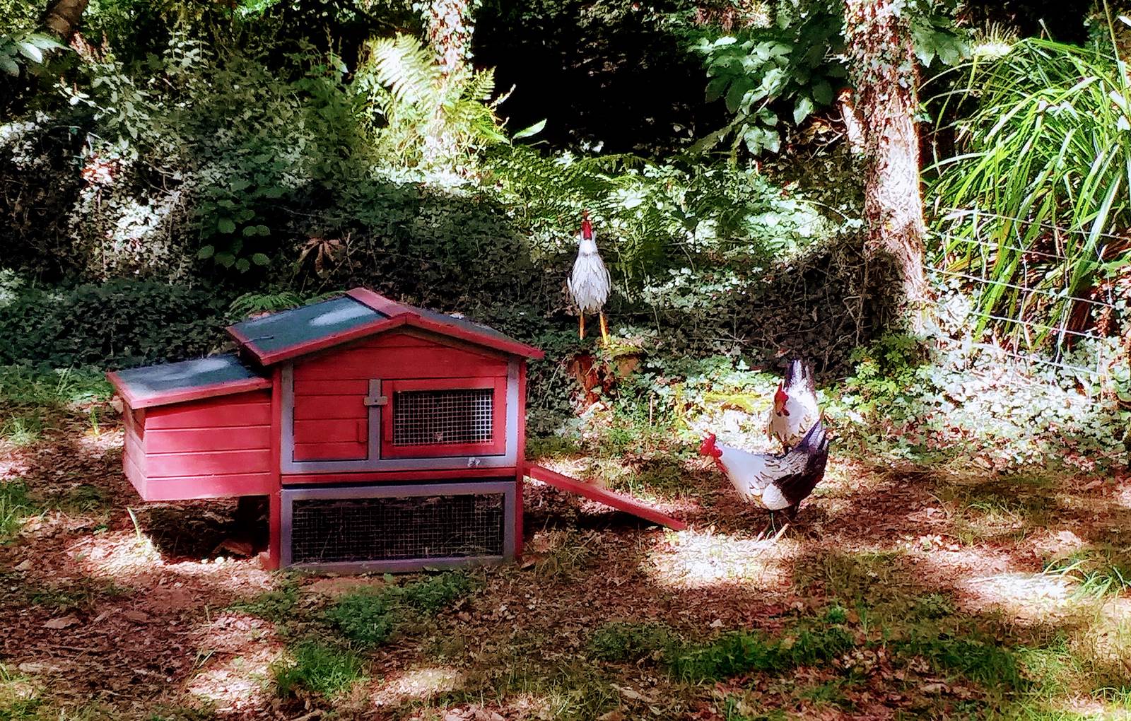 Notre basse-cour-carousel