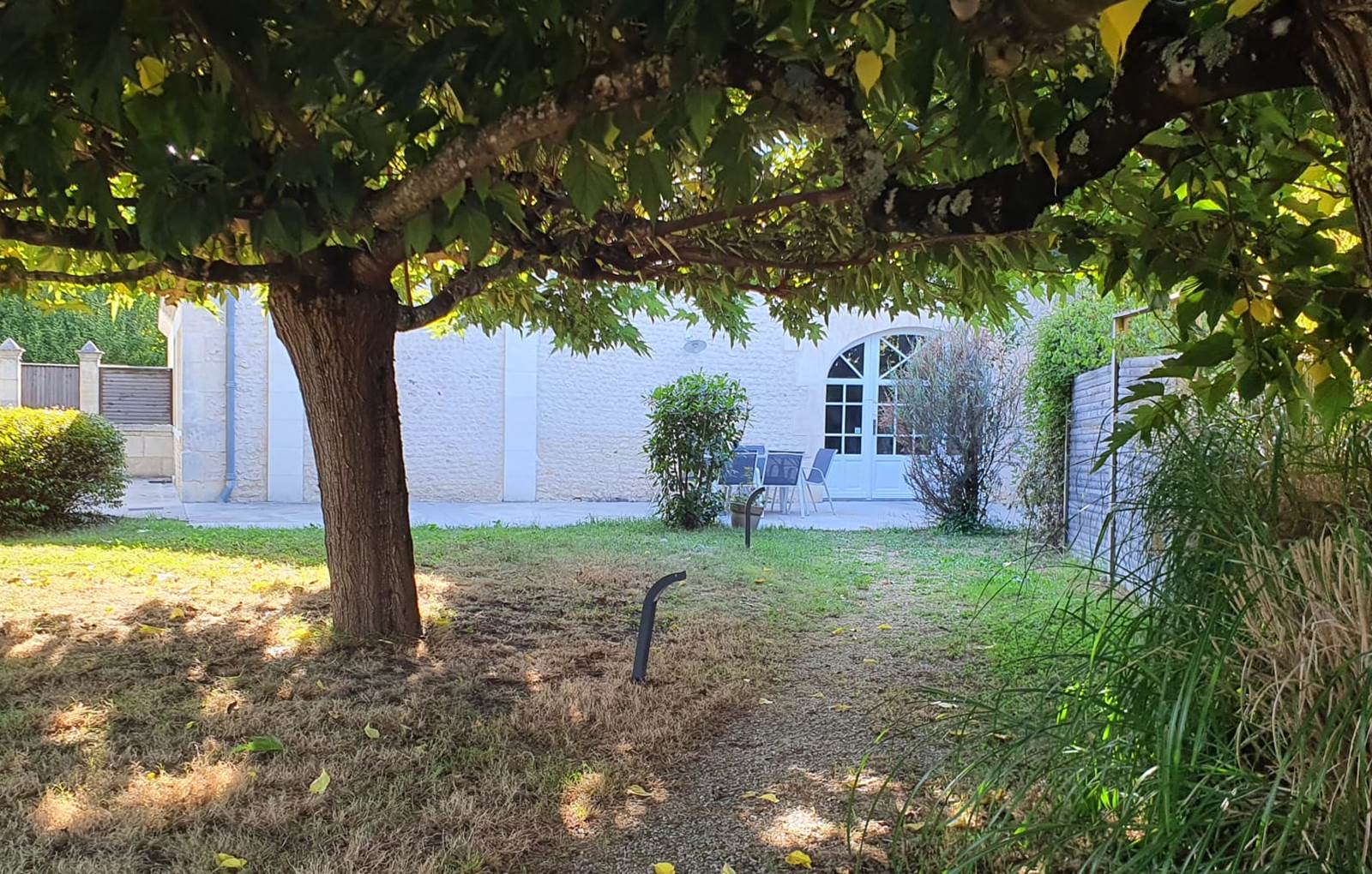 Eucalyptus Terrasse extérieure sur jardin privatif-carousel
