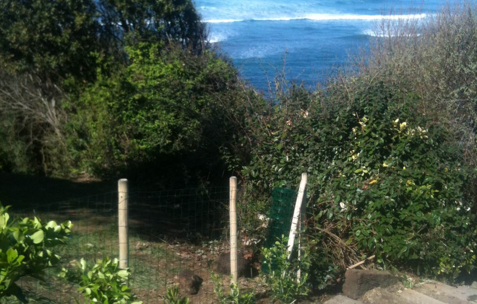 chemin pour descendre à la plage-carousel
