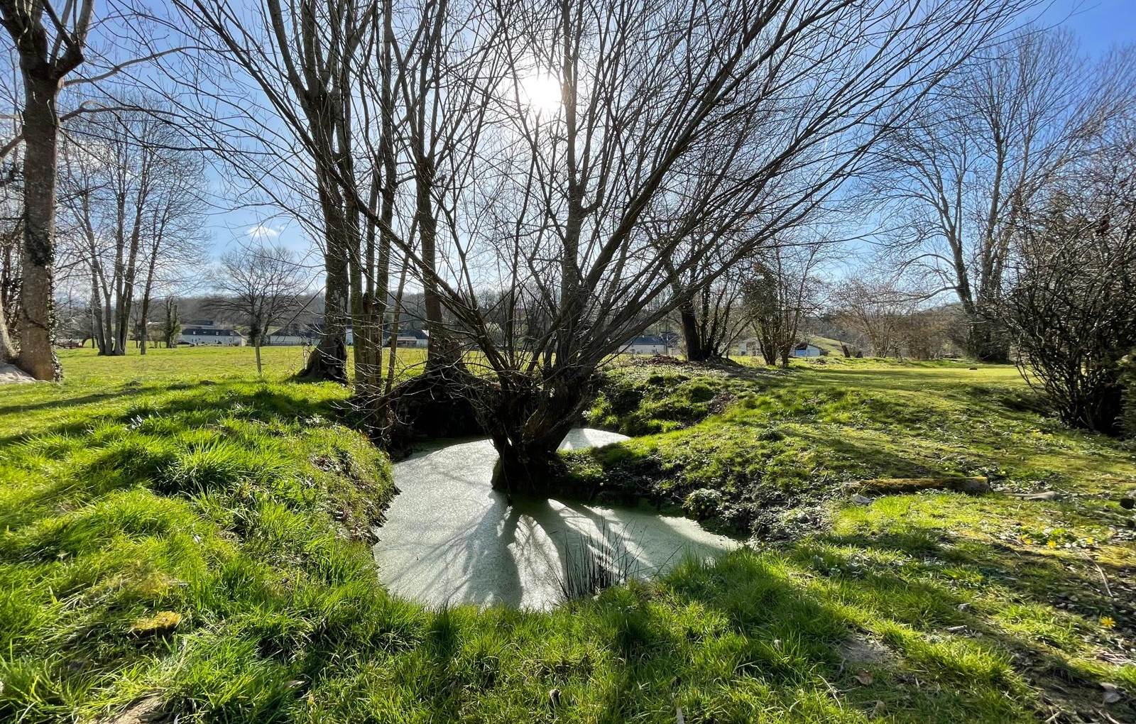 La mare aux grenouilles-carousel