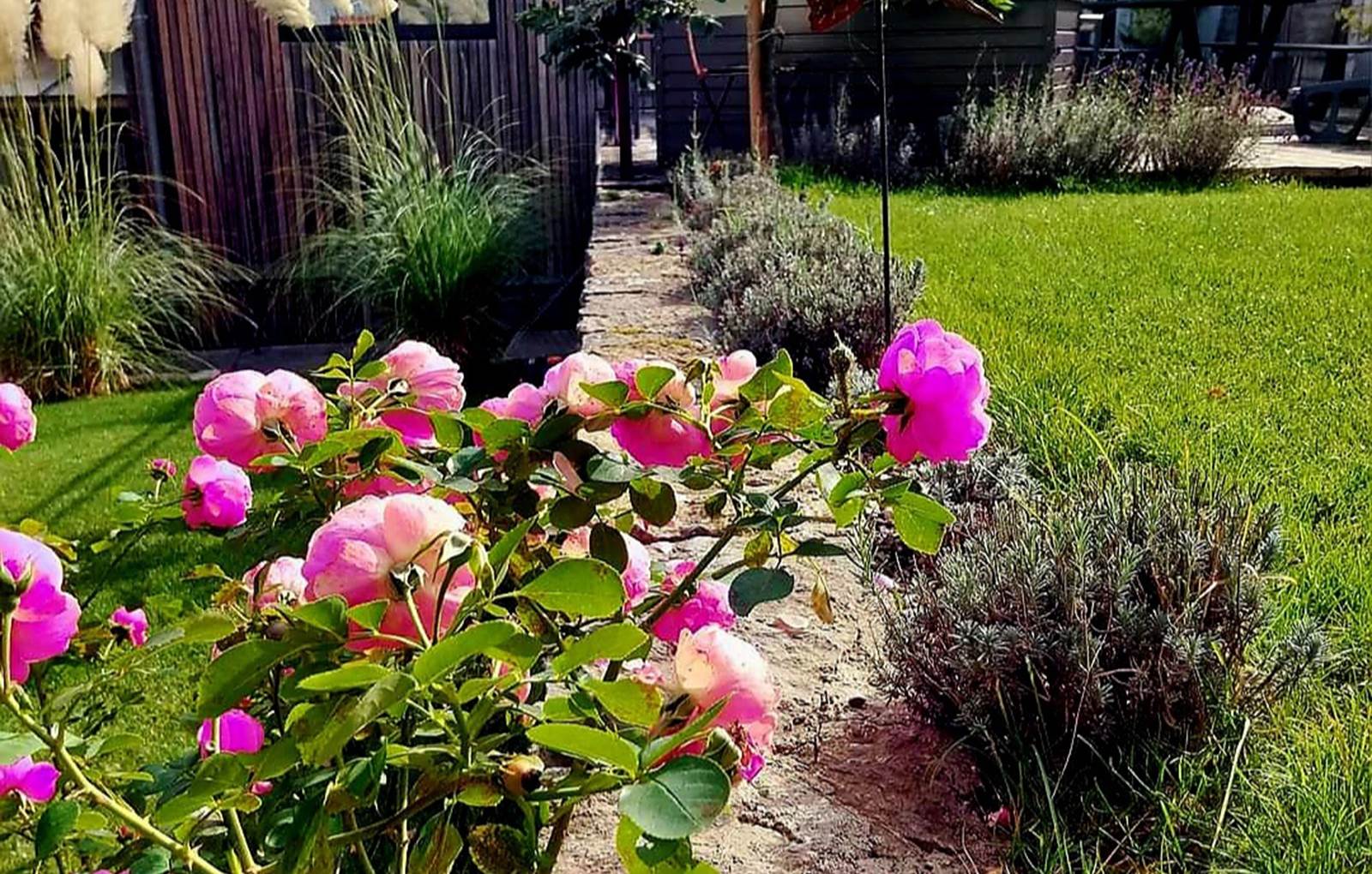 Screenshot_20240129_115920_Gallery-carousel