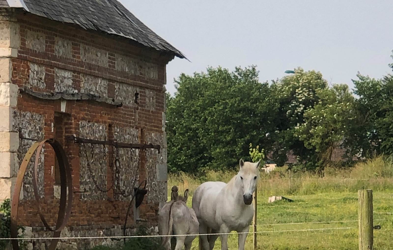 #ClosSaintJoseph_Hans et Balthazar-carousel