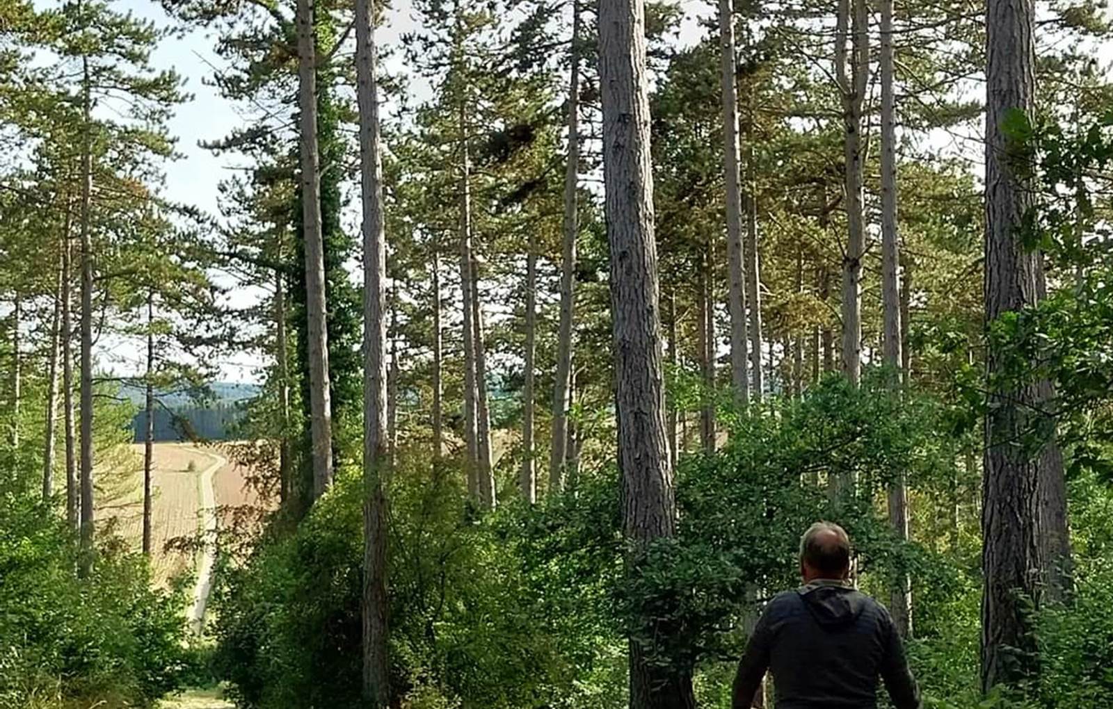 Chemin  campagnard-carousel