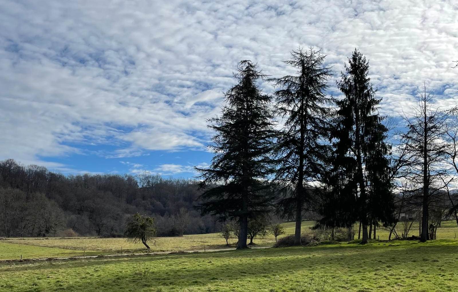 La vue depuis La Palomière-carousel